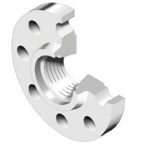 Mặt bích ren (Mã 113) BS 4504